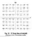 Fig. 32 - COFDM DCM Communication Systems with Preferred Labeling-Diversity Formats