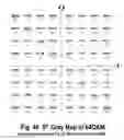 Fig. 40 - COFDM DCM Communication Systems with Preferred Labeling-Diversity Formats