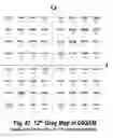 Fig. 47 - COFDM DCM Communication Systems with Preferred Labeling-Diversity Formats