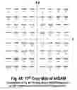 Fig. 48 - COFDM DCM Communication Systems with Preferred Labeling-Diversity Formats