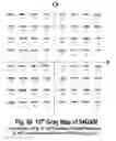 Fig. 50 - COFDM DCM Communication Systems with Preferred Labeling-Diversity Formats