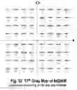 Fig. 52 - COFDM DCM Communication Systems with Preferred Labeling-Diversity Formats