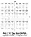Fig. 53 - COFDM DCM Communication Systems with Preferred Labeling-Diversity Formats
