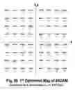 Fig. 58 - COFDM DCM Communication Systems with Preferred Labeling-Diversity Formats