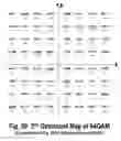 Fig. 59 - COFDM DCM Communication Systems with Preferred Labeling-Diversity Formats