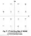Fig. 70 - COFDM DCM Communication Systems with Preferred Labeling-Diversity Formats