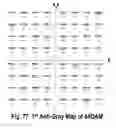 Fig. 75 - COFDM DCM Communication Systems with Preferred Labeling-Diversity Formats