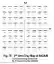 Fig. 76 - COFDM DCM Communication Systems with Preferred Labeling-Diversity Formats
