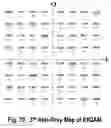 Fig. 77 - COFDM DCM Communication Systems with Preferred Labeling-Diversity Formats