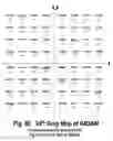 Fig. 83 - COFDM DCM Communication Systems with Preferred Labeling-Diversity Formats