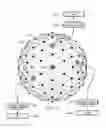 Fig. 14 - Computer architecture for emulating a virtual private network in a correlithm object processing system