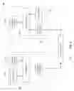 Fig. 06 - Unbounded sessions for secure communications