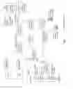 Fig. 02 - Communicating data messages utilizing a proprietary network