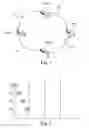 Fig. 02 - FAILURE DETECTION BY TEST DATA PACKETS OF REDUNDANCY PROTOCOLS