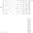 Fig. 02 - SYSTEMS AND METHODS FOR IMAGE CAPTURE AND PROCESSING