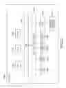 Fig. 28 - Signal processing apparatus, imaging apparatus, and signal processing method