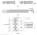 Fig. 02 - Data transmission method, terminal, and base station in LAA-LTE system