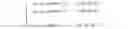 Fig. 03 - SIMULTANEOUS HARQ-ACK FEEDBACK AND UPLINK TRANSMISSION WITHOUT DYNAMIC GRANT