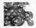 Fig. 01 - Coleus plant named ‘Docogrefang’