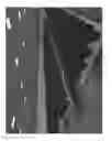 Fig. 07 - GROW LIGHTS FOR HORTICULTURE