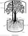 Fig. 22 - ENCAPSULATED AND SEGREGATED GROWTH CONTAINERS