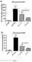 Fig. 04 - Compositions for organ preservation