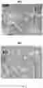 Fig. 07 - Compositions for organ preservation