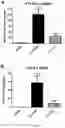 Fig. 14 - Compositions for organ preservation