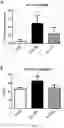 Fig. 16 - Compositions for organ preservation