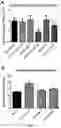 Fig. 19 - Compositions for organ preservation