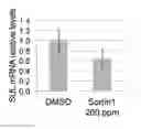 Fig. 01 - Use of active substances for controlling virus infection in plants