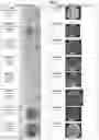 Fig. 02 - Isolated complex endophyte compositions and methods for improved plant traits