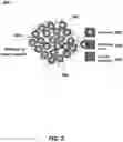 Fig. 03 - Methods of concentrating phospholipids