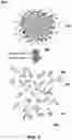 Fig. 04 - Methods of concentrating phospholipids