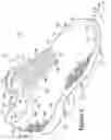 Fig. 02 - Article of footwear with upper incorporating knitted component providing variable compression