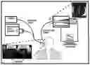 Fig. 01 - SPECTROSCOPIC DETECTION OF BRAIN DAMAGE