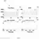 Fig. 06 - Respiratory rate detection using decomposition of ECG