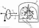 Fig. 01 - Inductive sensing system for sensing electromagnetic signals from a body