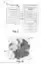 Fig. 06 - Detection of regions exhibiting irregular electrophysiological activity