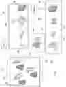 Fig. 02 - Method and apparatus for the measurement of autonomic function for the diagnosis and validation of patient treatments and outcomes