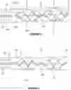 Fig. 08 - Thrombus retrieval stents and methods of using for treatment of ischemic stroke
