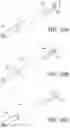Fig. 10 - Surgical fluid management systems and methods
