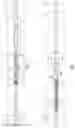 Fig. 02 - Bone transport nail