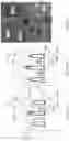 Fig. 43 - Multi-level cardiac implant