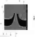 Fig. 07 - X-ray markers for scaffolds