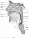 Fig. 04 - Mandibular repositioning device