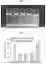 Fig. 02 - Vesicle for enhancing skin absorption, and method of preparing the same