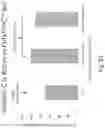 Fig. 82 - Stable silk fibroin based pharmaceutical formulations