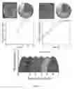 Fig. 06 - Artificial cells and delivery devices for use in tissue engineering, and related methods