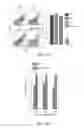 Fig. 08 - EXOSOMAL COMPOSITIONS AND METHODS FOR THE TREATMENT OF DISEASE
